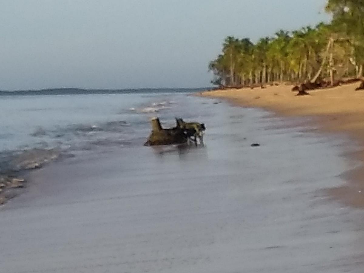 Pousada Das Sereias Caravelas Exteriör bild